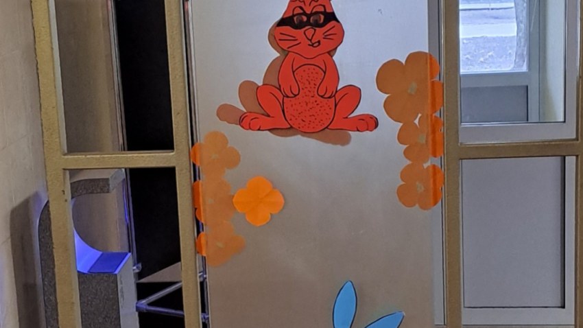 Dienesta viesnīcas audzēkņi sagaidīja pavasara saulgriežus