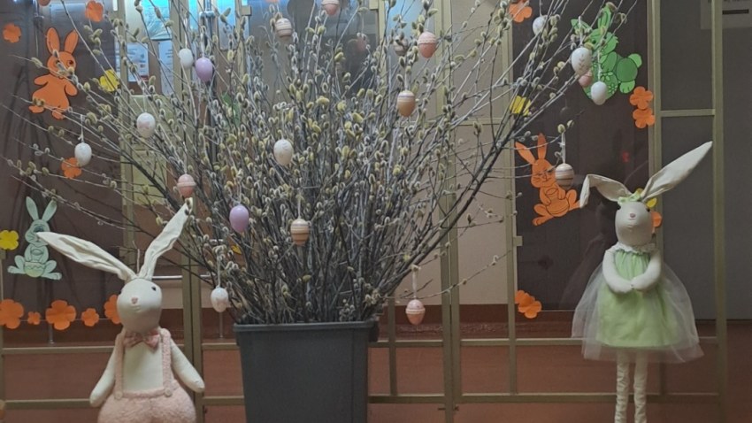 Dienesta viesnīcas audzēkņi sagaidīja pavasara saulgriežus